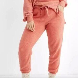 NWT Aerie cozy good vibes jogger sweatpants red rose soft fuzzy fleece New XL